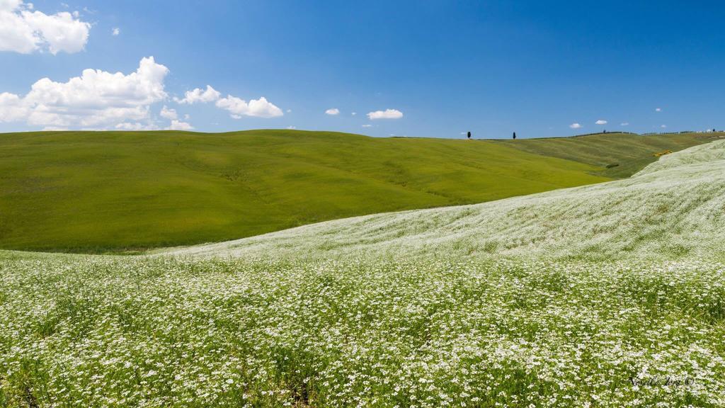 Antica Locanda Pienza Luaran gambar